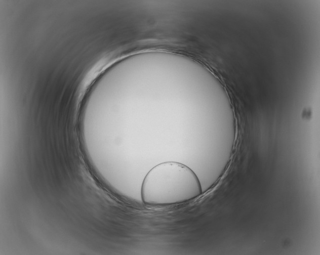 X0000116790150200912181103