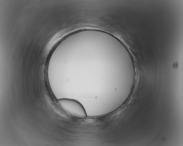 X0000116790151200912181103