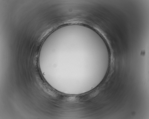 X0000116790153200912181103