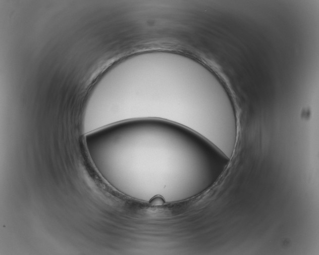 X0000116790154200912181103