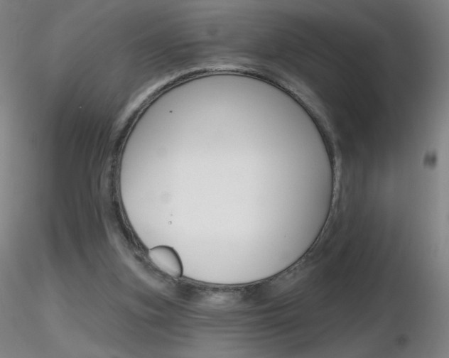 X0000116790155200912181103