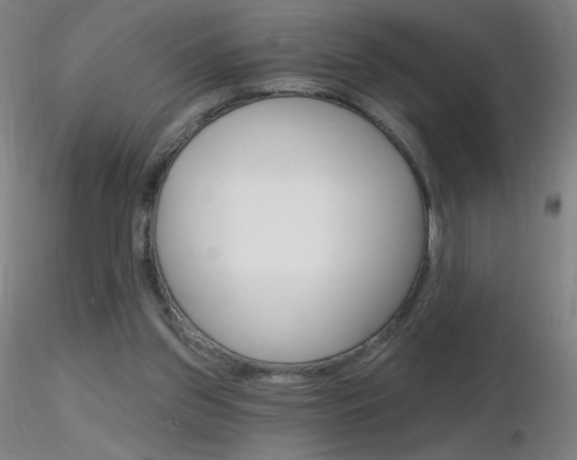 X0000116790157200912181103