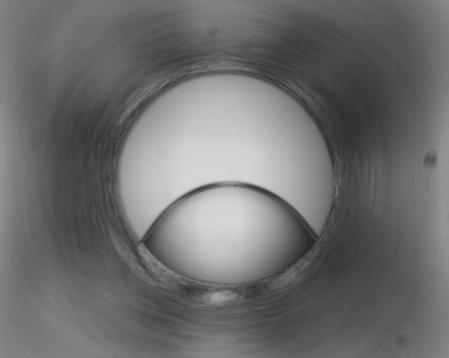 X0000116790158200912181103