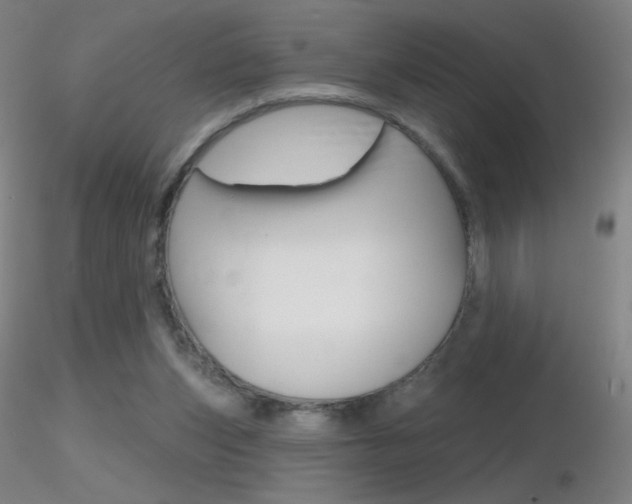 X0000116790159200912181103