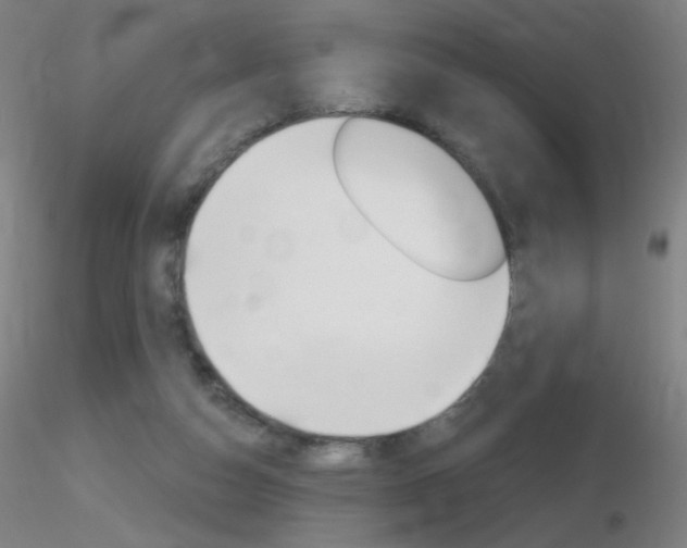 X0000116790162200912181103