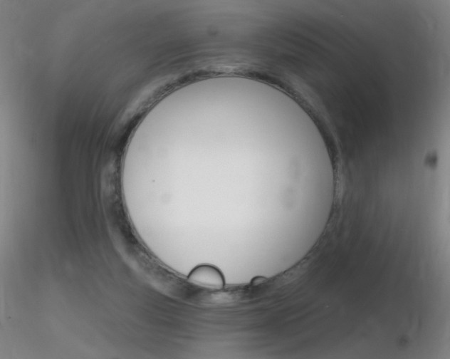 X0000116790163200912181103