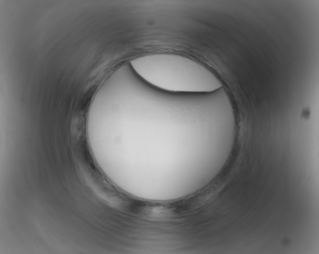 X0000116790165200912181103