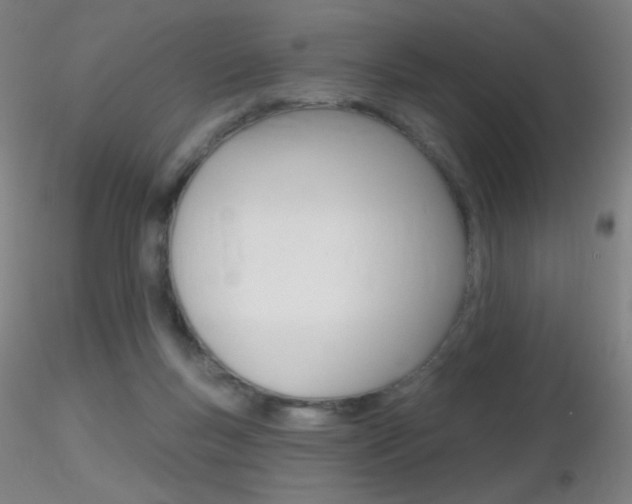 X0000116790167200912181103