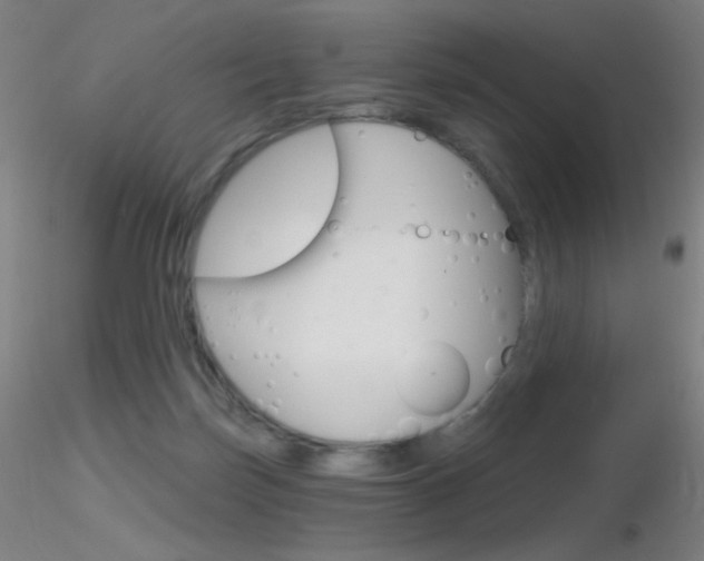 X0000116790171200912181103