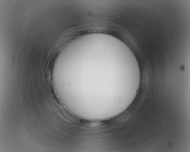 X0000116790173200912181103