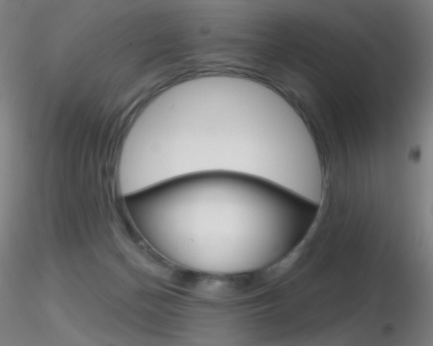 X0000116790174200912181103