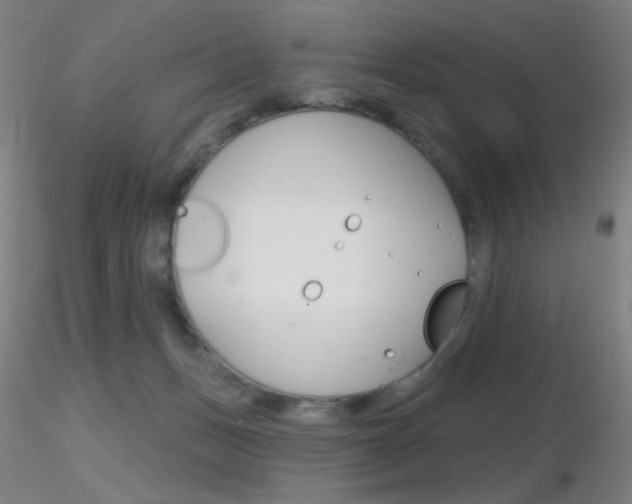 X0000116790175200912181103