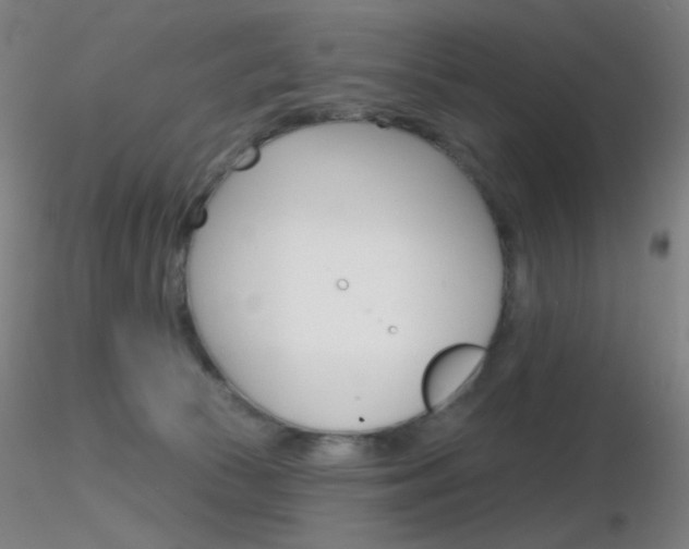 X0000116790177200912181103