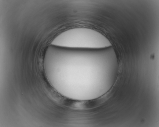 X0000116790178200912181103