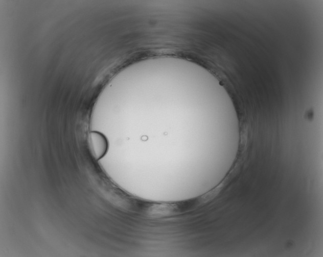 X0000116790179200912181103