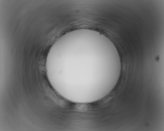 X0000116790181200912181103
