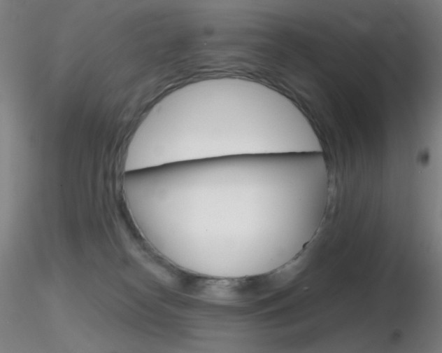 X0000116790182200912181103