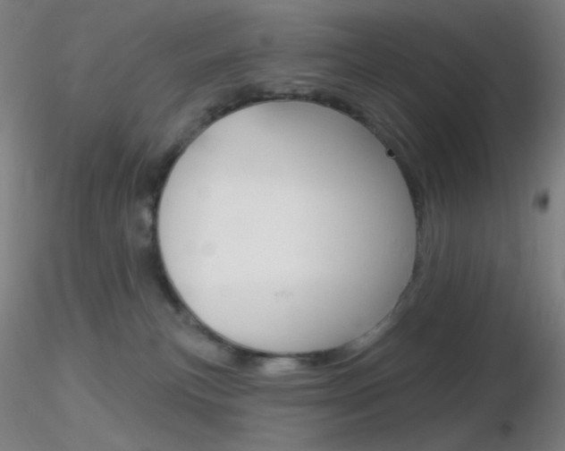 X0000116790183200912181103