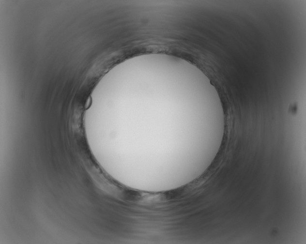 X0000116790185200912181103