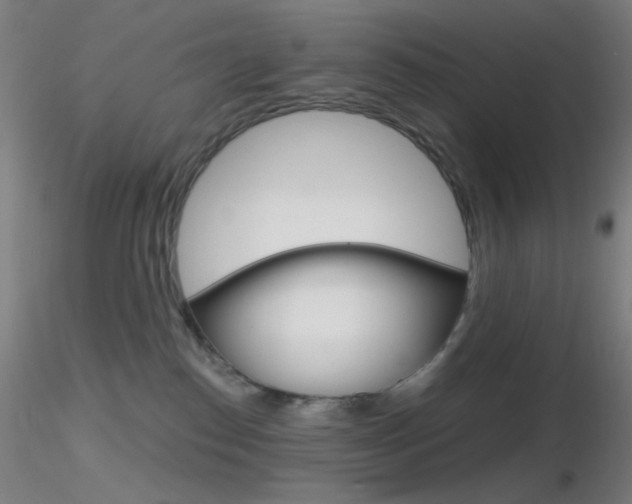 X0000116790186200912181103