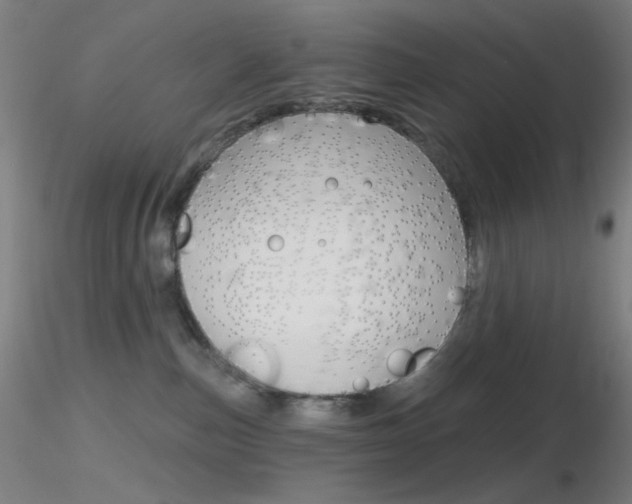 X0000116790187200912181103