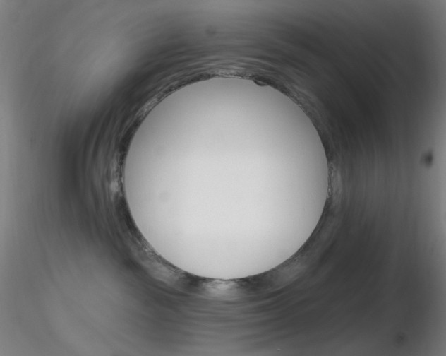 X0000116790189200912181103