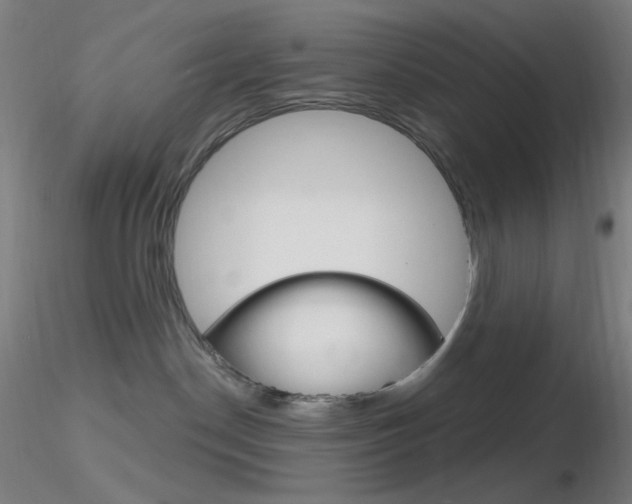 X0000116790190200912181103