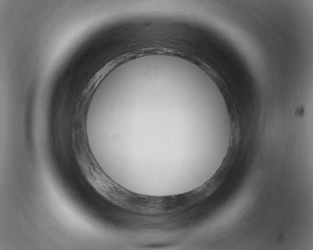 X0000116790191200912181103