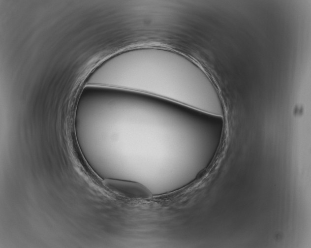 X0000116790193200912181102
