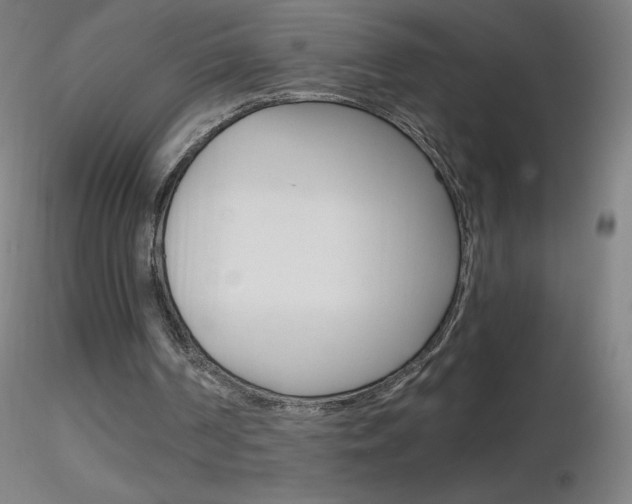 X0000116790194200912181102