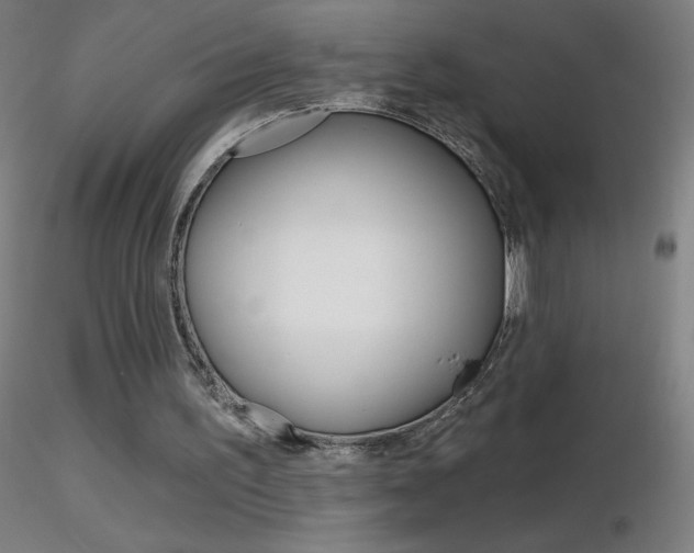 X0000116790195200912181102