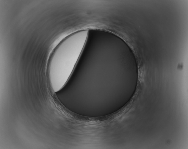 X0000116790196200912181102