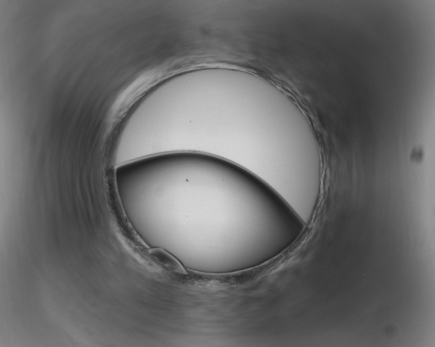 X0000116790197200912181102