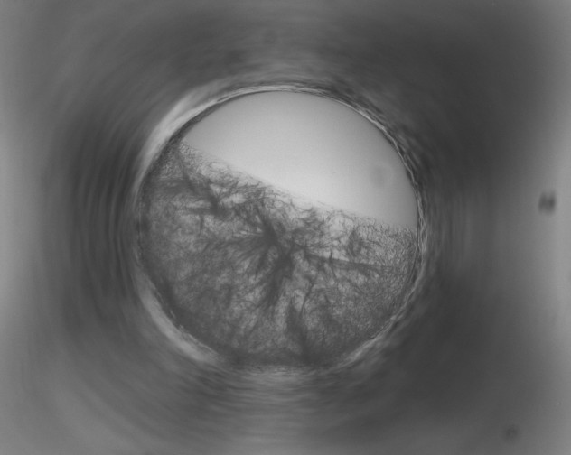 X0000116790198200912181102
