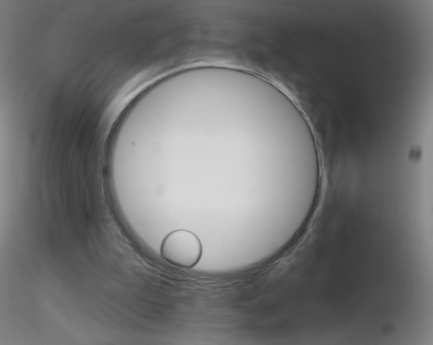 X0000116790199200912181102