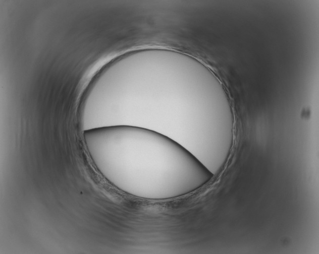 X0000116790200200912181102