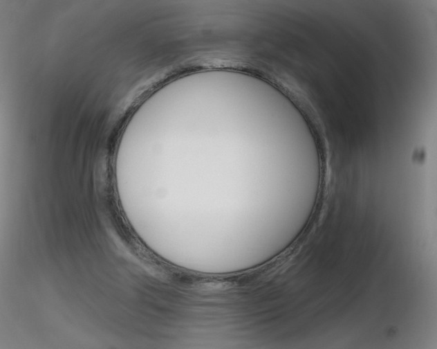X0000116790202200912181102