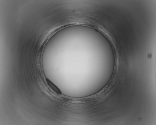 X0000116790203200912181102