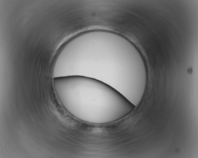 X0000116790204200912181102