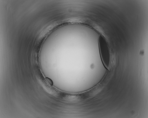 X0000116790205200912181102