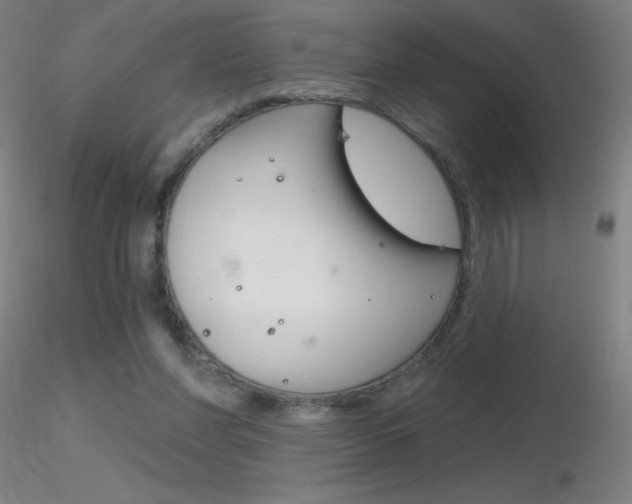 X0000116790206200912181102
