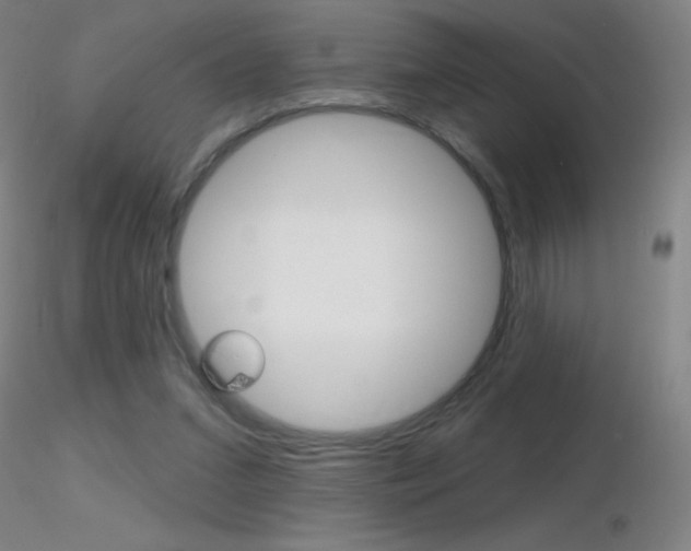 X0000116790207200912181102