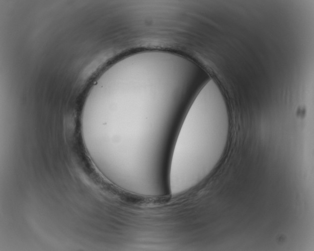 X0000116790208200912181102