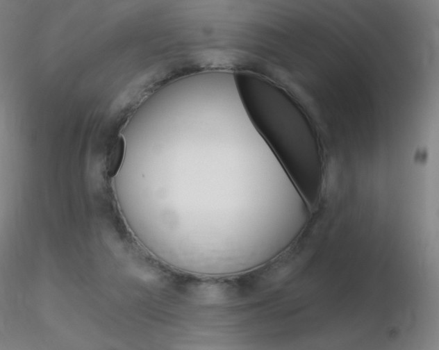 X0000116790209200912181102