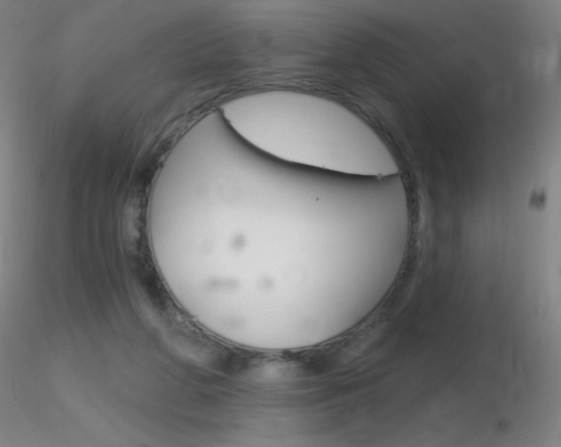 X0000116790210200912181102