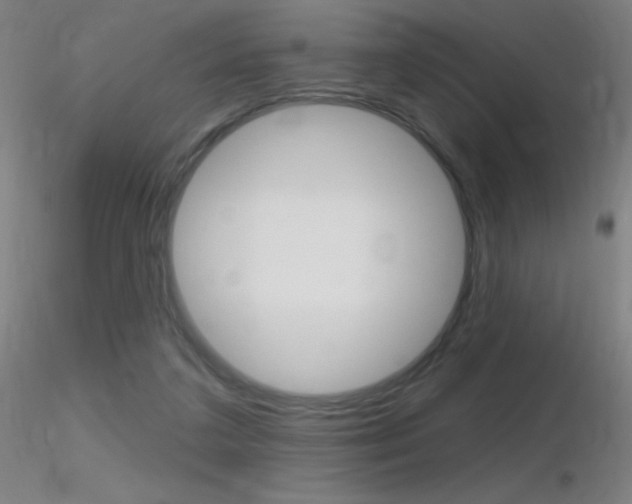 X0000116790211200912181102