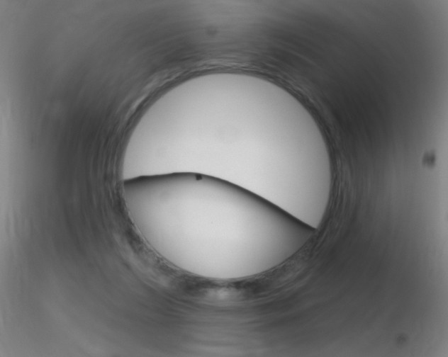 X0000116790212200912181102