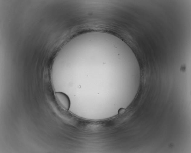 X0000116790213200912181102