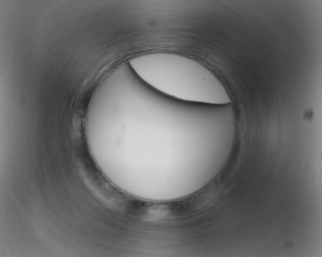 X0000116790214200912181102
