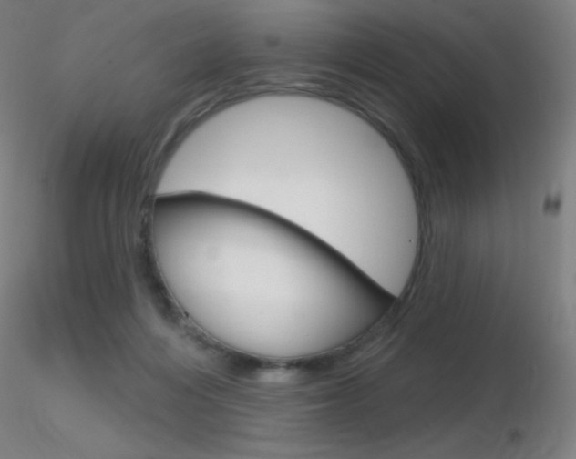 X0000116790216200912181102